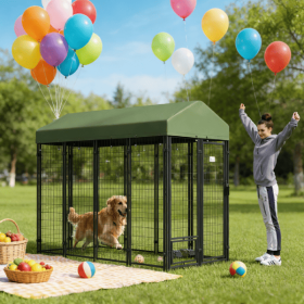 Dog House Dog House